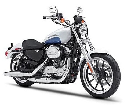 Harley Davidson Sportster 883 Low Image