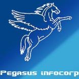 Pegasusinfocorp Image