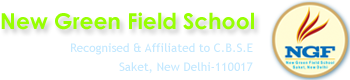 New Green Field Public School - Delhi Image