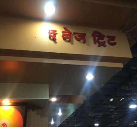 The Veg Treat - Borivali - Mumbai Image