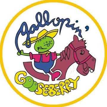 Gallopin Gooseberry - Besant Nagar - Chennai Image