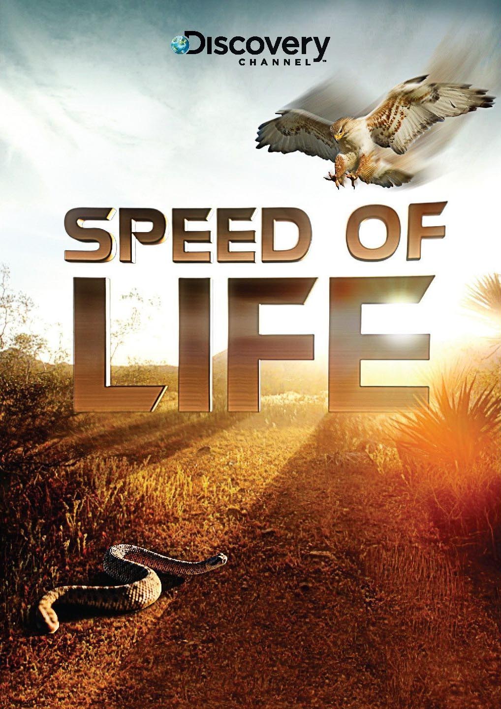 Speed Of Life Image