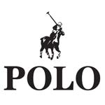 Polo Sunglasses Image