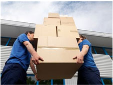 Services United Cargo Movers and Packers Image