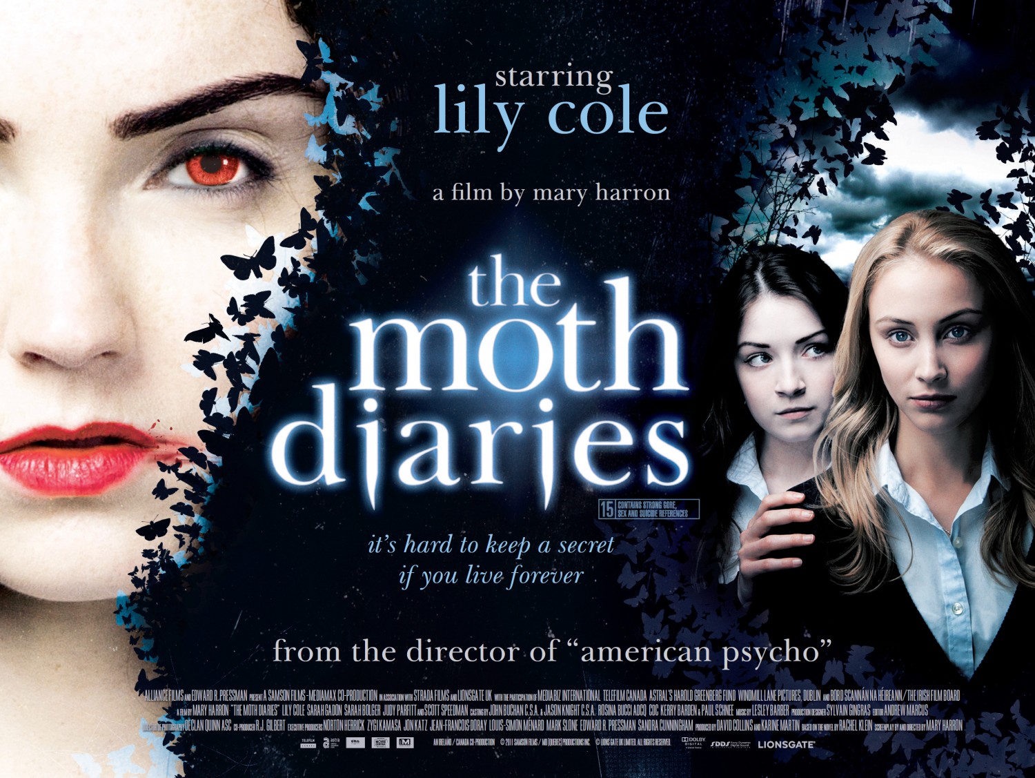 The Moth Diaries Image