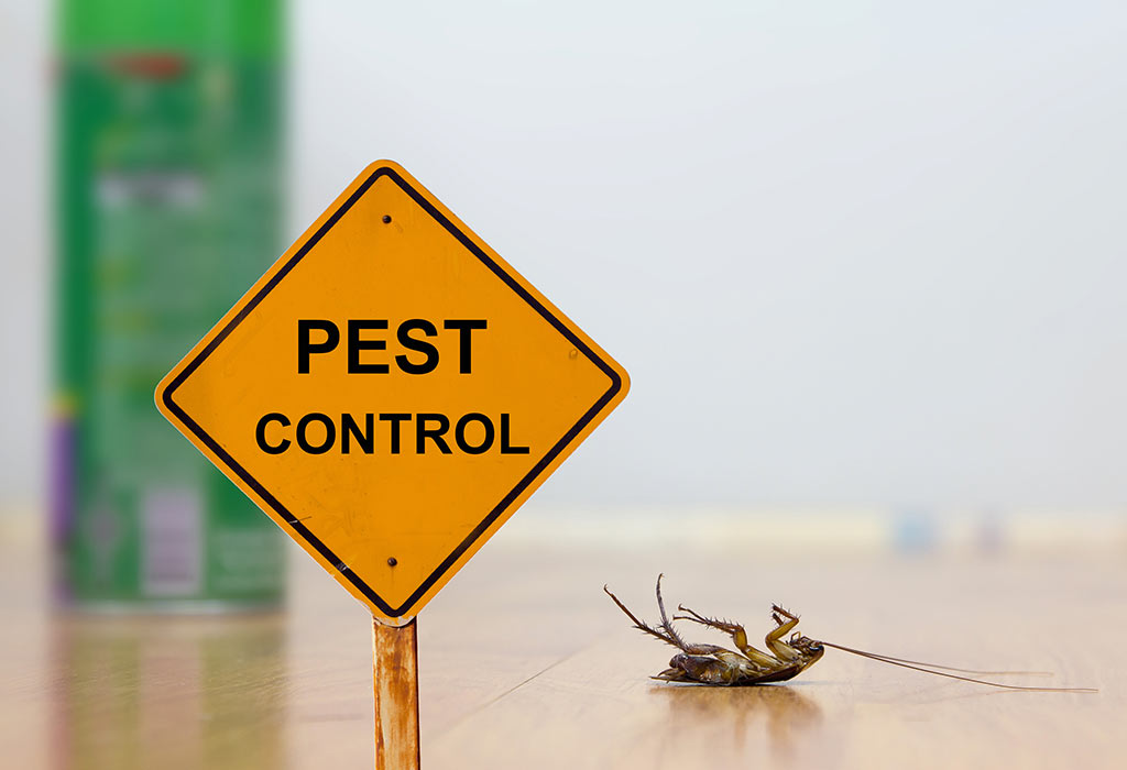 DH Pest Control Image