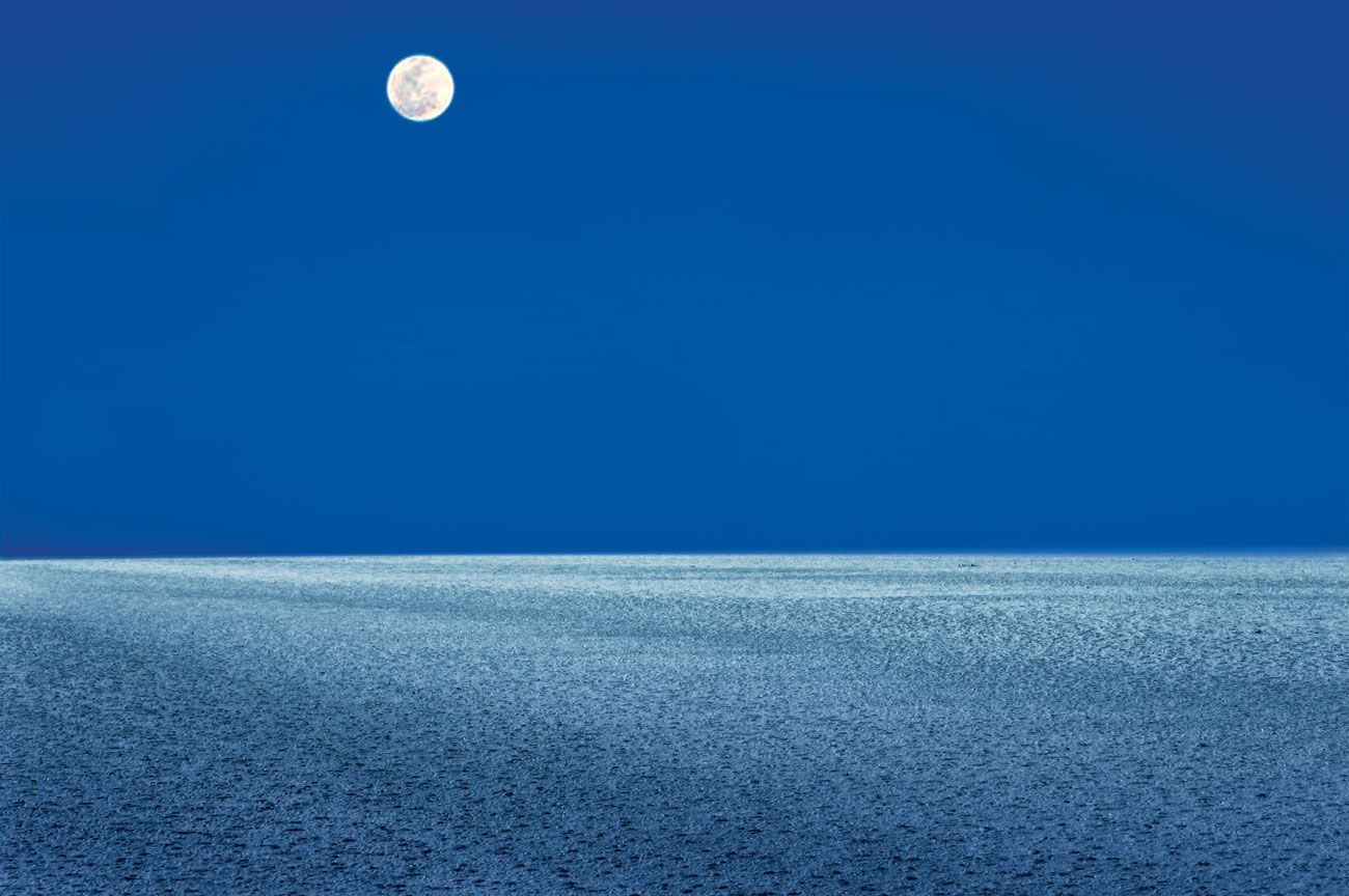 Rann of Kutch Image