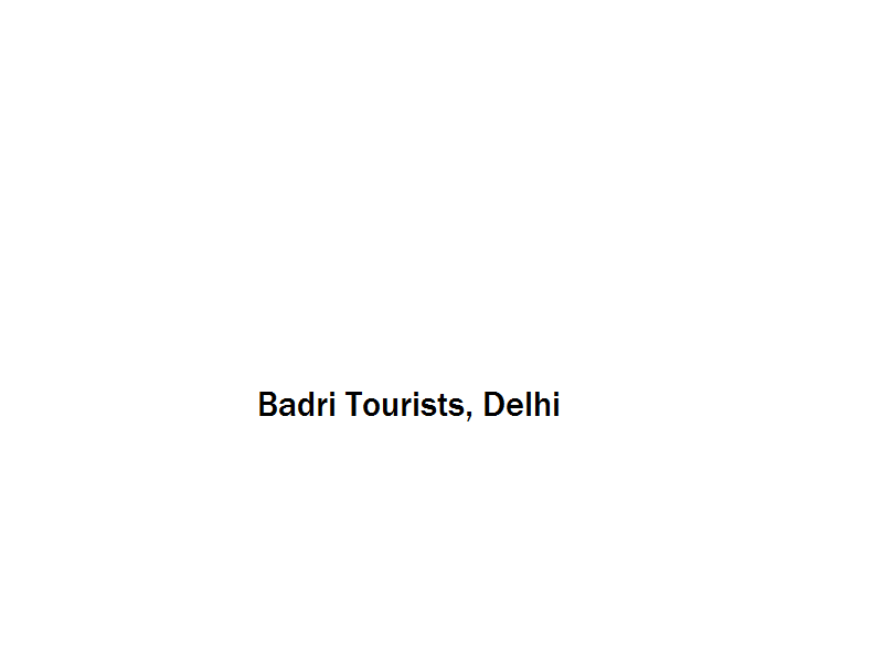 Badri Tourists - Delhi Image