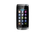 Nokia Asha 309 Image