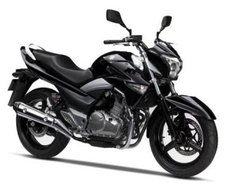 Suzuki Inazuma 250 Image