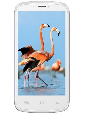 Celkon A119 Signature HD Image