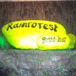 Rainforest Resto-bar - Andheri - Mumbai Image