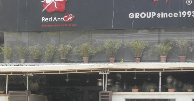 Red Ant Cafe - Andheri West - Mumbai Image