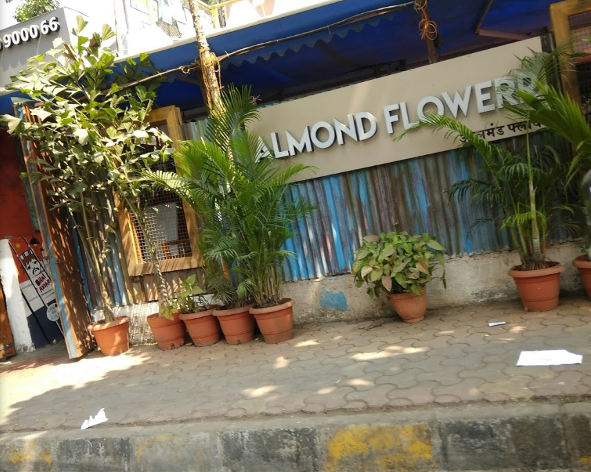 Almond Flower - Andheri West - Mumbai Image