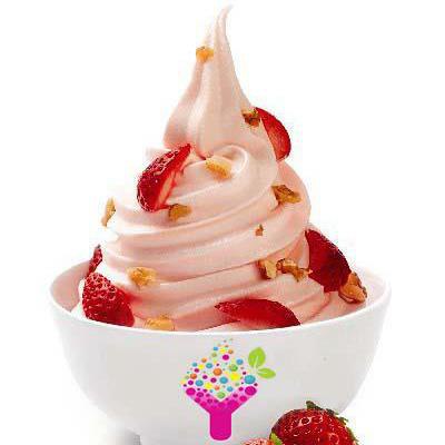 Yogurtlite - Kurla West - Mumbai Image