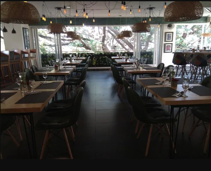 Cafe Max - Indiranagar - Bangalore Image