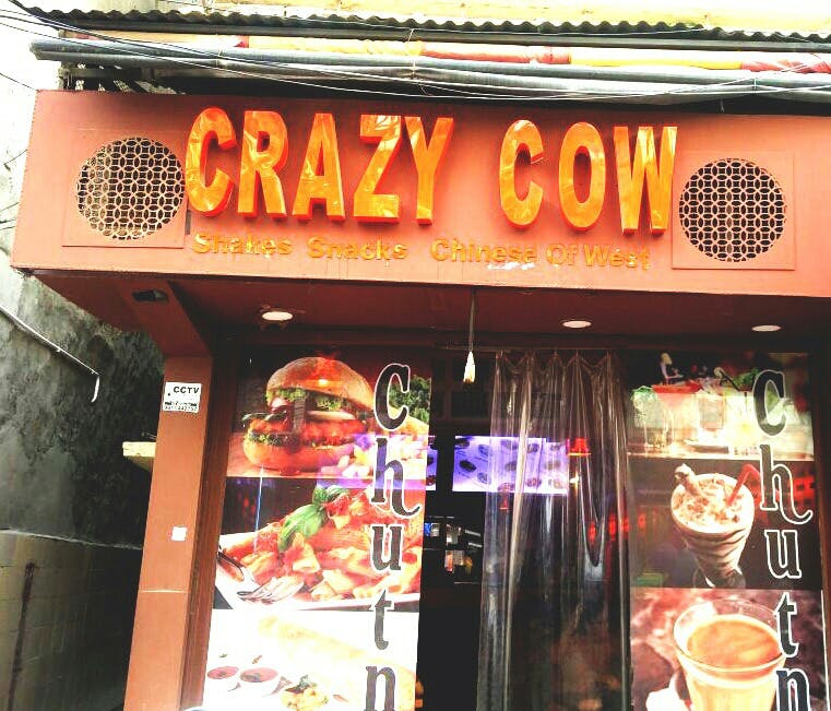 Crazy Cow Restaurant - Rajouri Garden - Delhi NCR Image