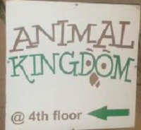 Animal Kingdom - Adyar - Chennai Image
