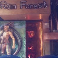 Rain Forest - Adyar - Chennai Image