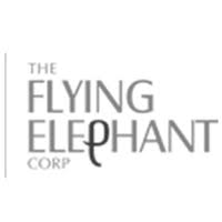 The Flying Elephant - Guindy - Chennai Image