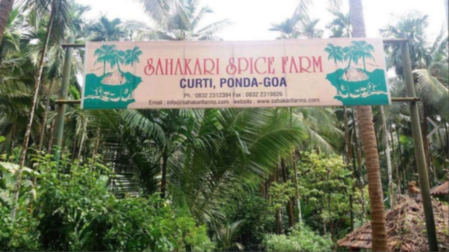 Sahakari Spice Farm - Ponda - Goa Image