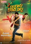 Bangaru Kodipetta Image