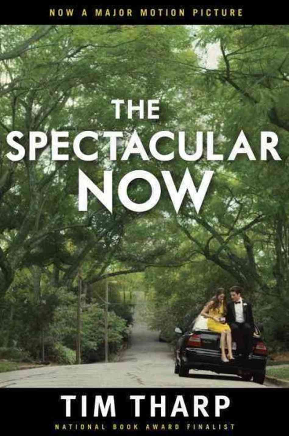 The Spectacular Now Image