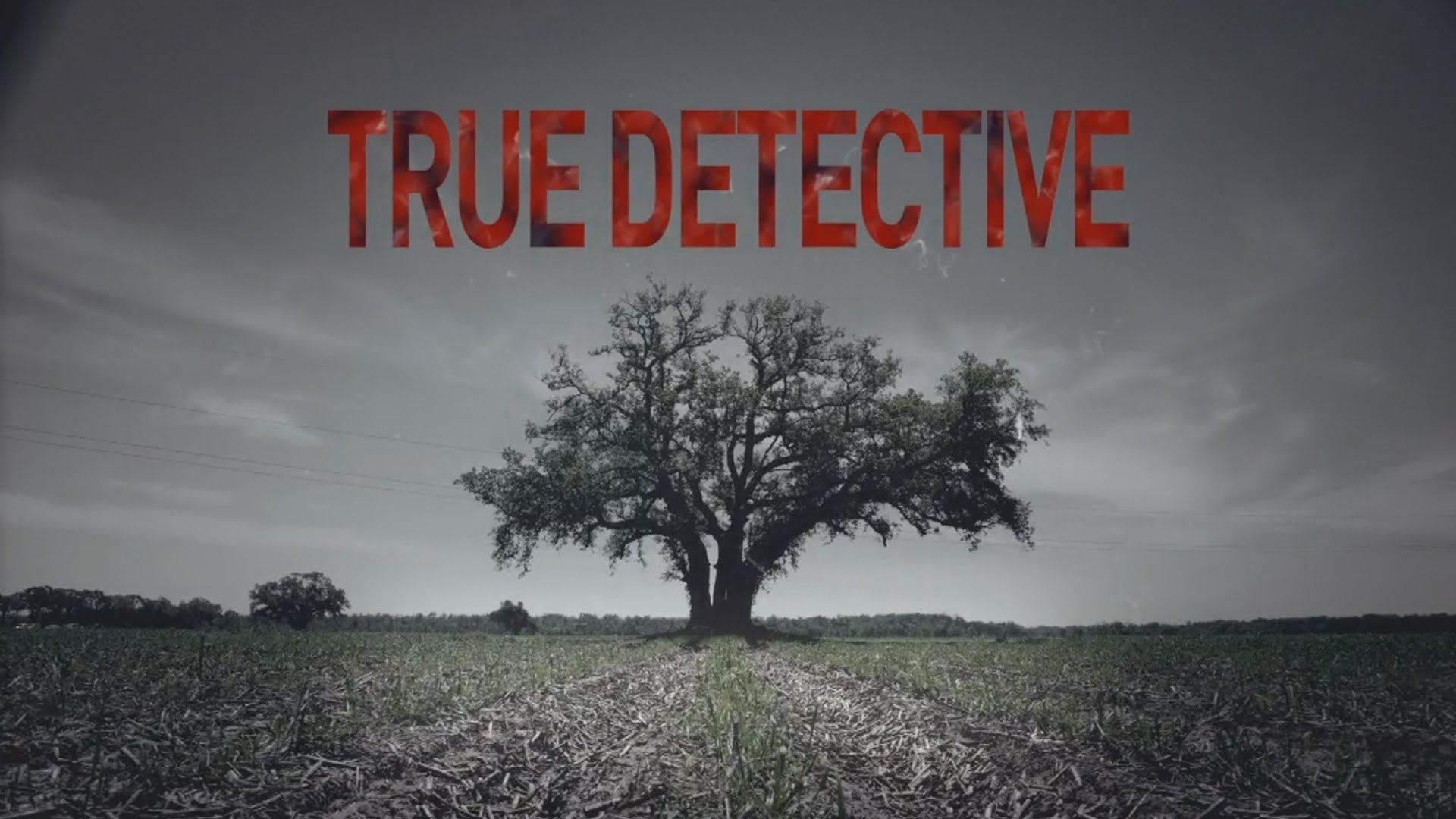 True Detective Image