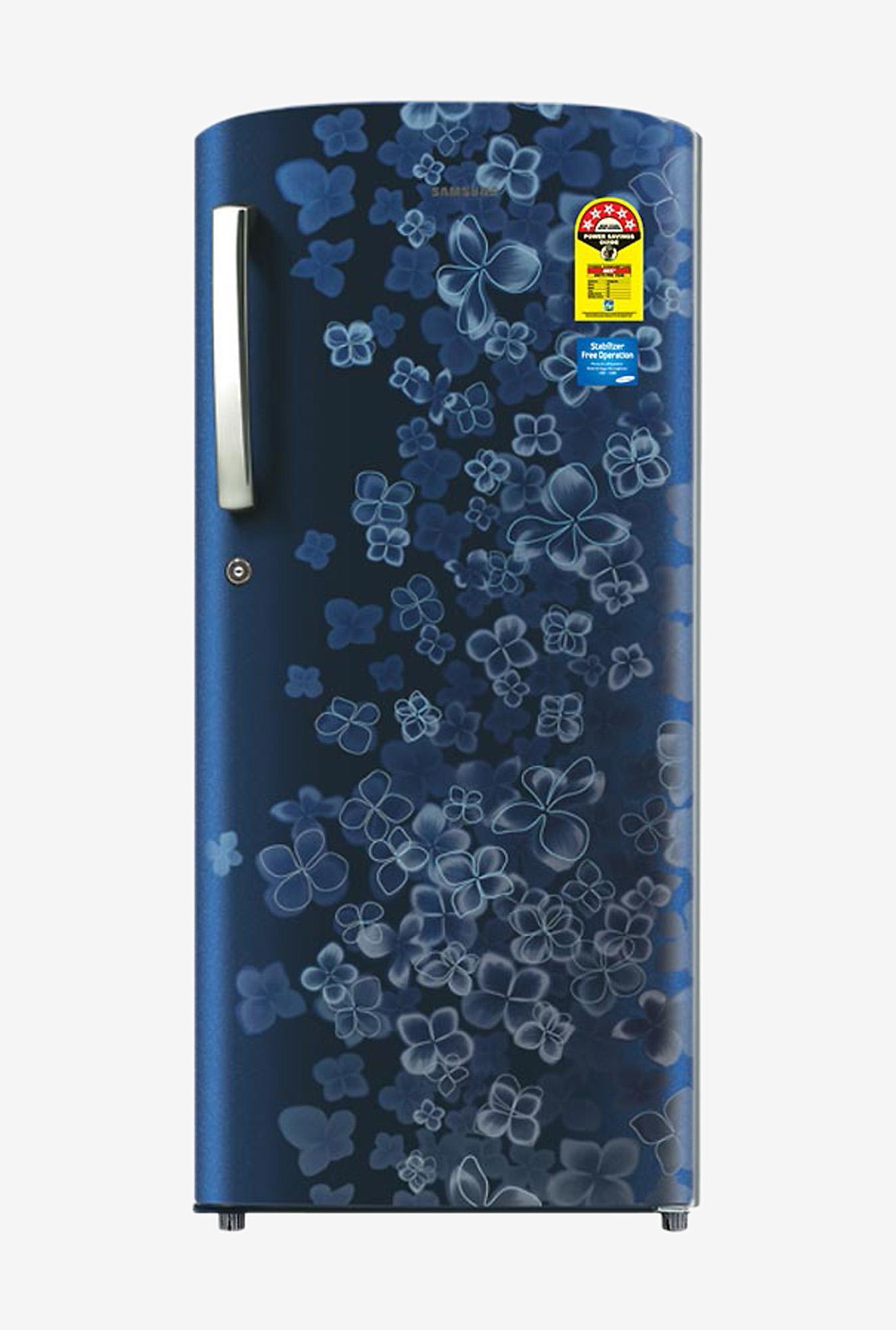 Samsung Single Door Refrigerator RR1915RCAVL Image