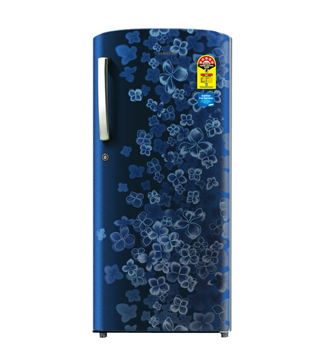 Samsung Single Door Refrigerator RR1915RCAVL/TL Image
