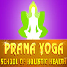 Prana Yoga Institute of Yoga and Holistic Health - Thrissur Image