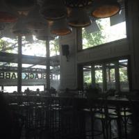 The Black Rabbit - Indiranagar - Bangalore Image