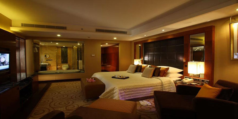 Radisson Blu Hotel - Delhi Image