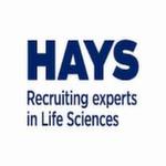 Hays Recruiting Experts Worldwide Image