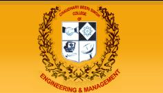 Chaudhary Beeri Singh College of Engineering and Management CBS - Agra Image