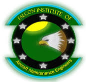 Falcon Institute of Aircraft Maintenance Engineers - Lucknow Image