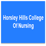 Horsley Hills College of Nursing - Machilipatnam Image
