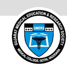 GMERS Medical College - Patan Image