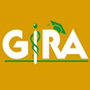Global Institute of Regulatory Affairs - Pune Image