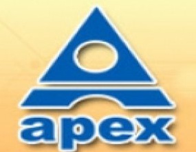 Apex Institute of Technology and Management - Karnal Image