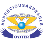 Oyster College of Pharmacy - Aurangabad Image