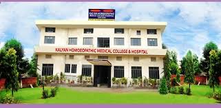 Kalyan Homoeopathic Medical College - Amritsar Image