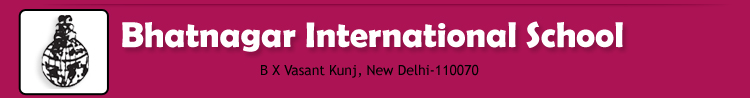 Bhatnagar International School - Paschim Vihar - Delhi Image