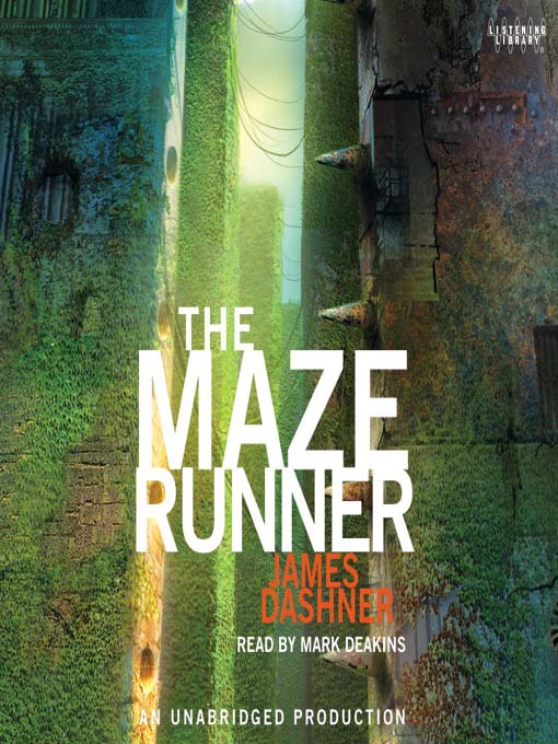 The Maze Runner Image