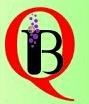 Brainquest Science Academy - Ahmedabad Image