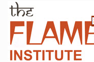 Flame Institute - Chandigarh Image