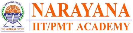 Narayana IIT Pmt Academy - Delhi Image