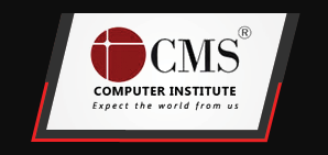 CMS Computer Institute - Pune Image