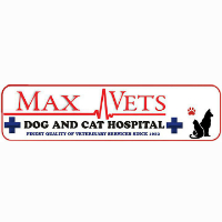 Max Vets - Delhi Image