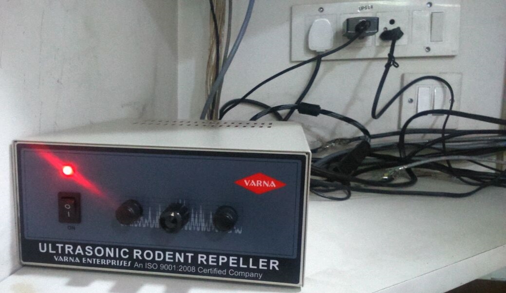 Varna Pest Control Image